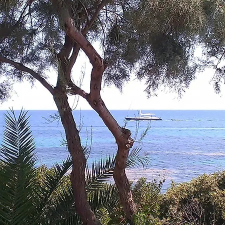 Il Gabbiano